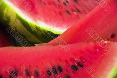 watermelon