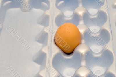 egg in box