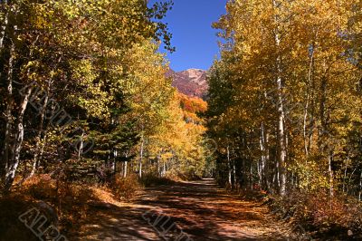 Mountain Road