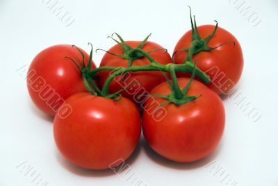 red tomatoes