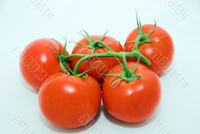 red tomatoes