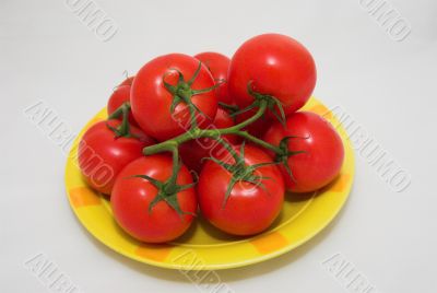 tomatoes