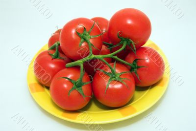 red tomatoes