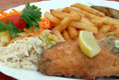 full dinner plate