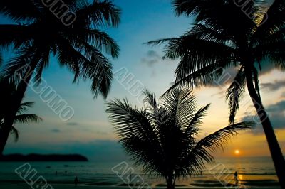 sunset in tropics