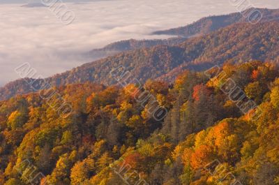 Autumn Great Smoky Mountains