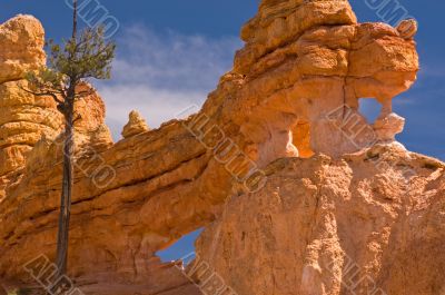 Rock Wall Bryce Canyon