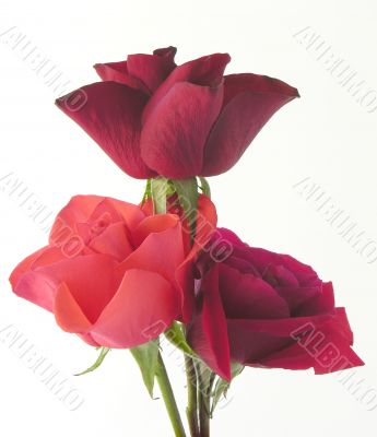 three red roses posy