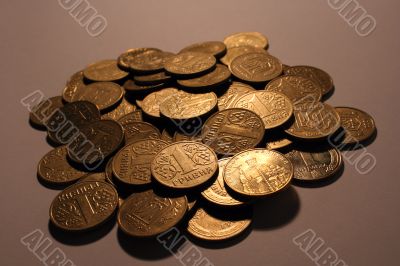 ukrainian money