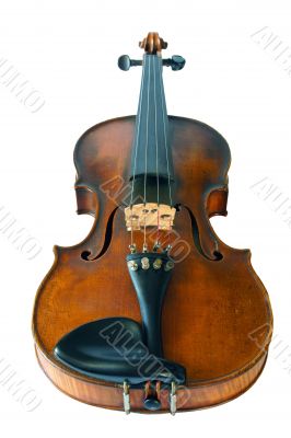 Old violine isolated