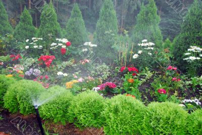 flowers and trees in garden