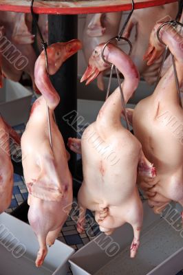 Raw ducks