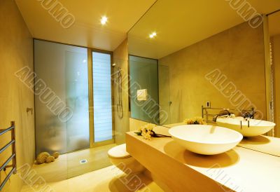 Designer bathroom