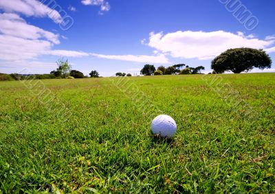 Golf ball on fairway