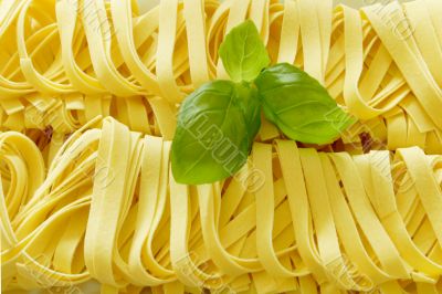 Pasta with fresh basil