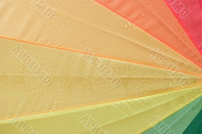 Umbrella in Detail