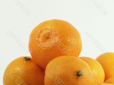 Ginger Tangerine