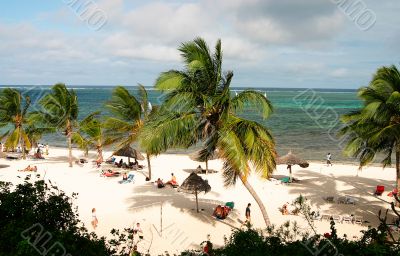 tropical beach