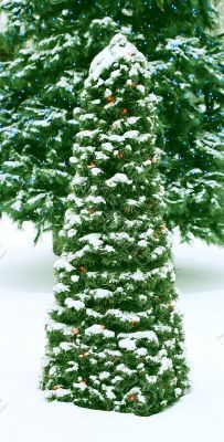 Christmas reason.
