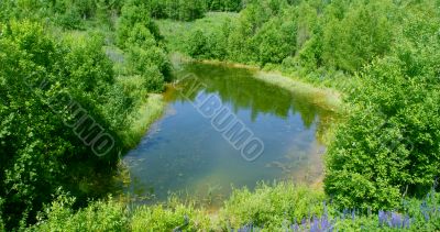 Wood lake.
