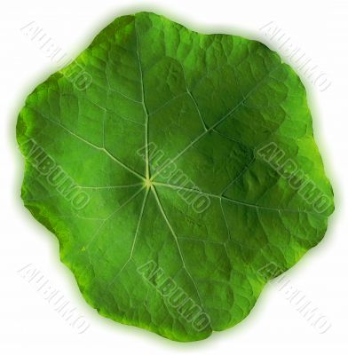 Green star.