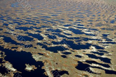 marsh terrain