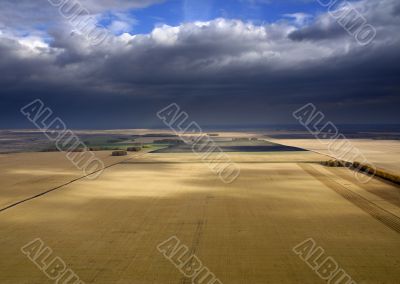 Harvest of the wheat