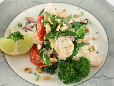 Chicken Pine Nut Stack 6
