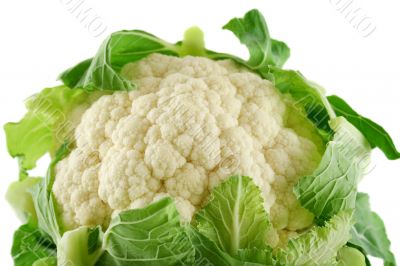 Fresh Cauliflower 4
