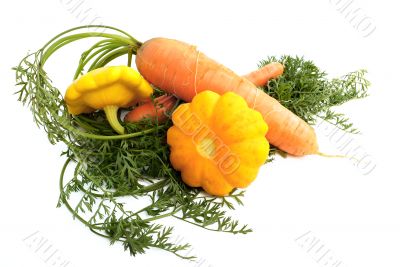 Carrots and Bush pumpkins.