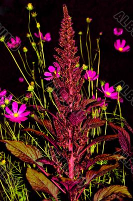 Evening bouquet.