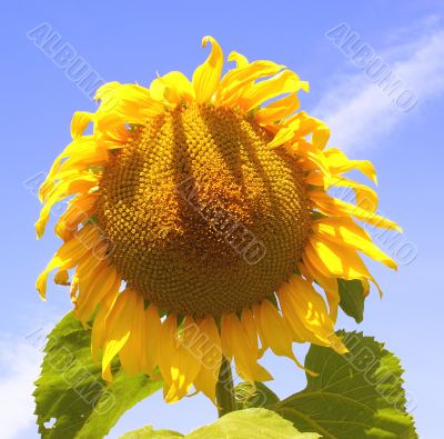 Place under the Sun.