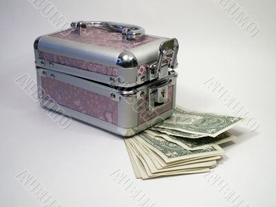 Retro case and money