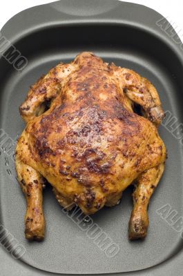 roasting chicken