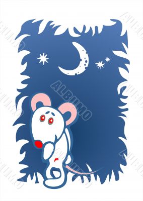 ornate timid mouse