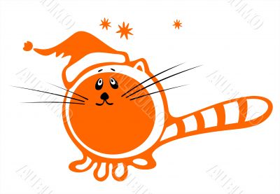 red christmas cat