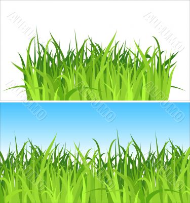 two grass backgrounds / vector