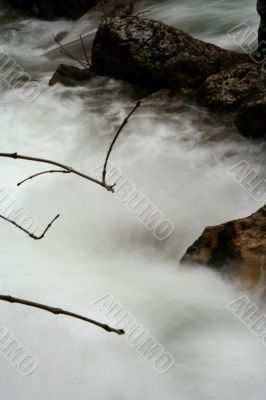 Stream in Cream