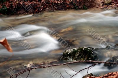 Stream in Cream