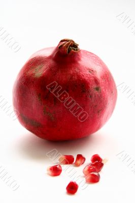 Pomegranate isolated