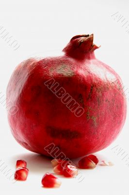 Pomegranate isolated