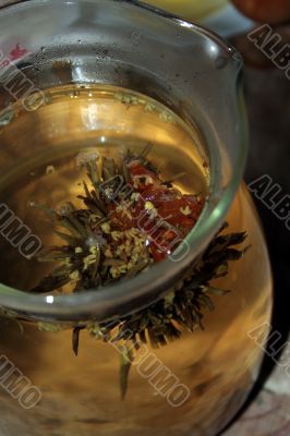 green tea