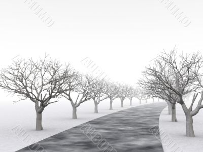 alley of trees