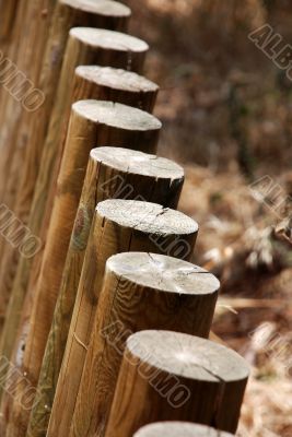Poles in a fence