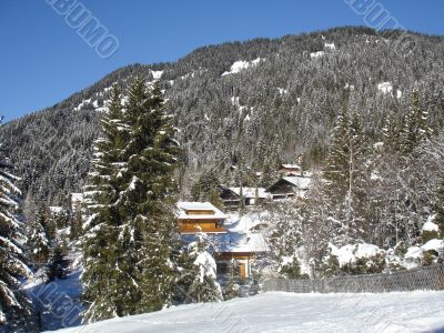 Winter