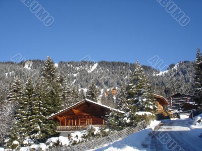 A wood house