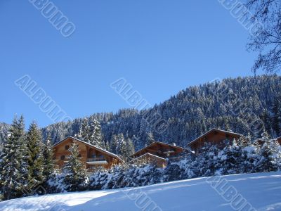 Winter