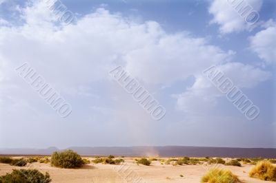 Desert Landscape