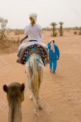 caravan of tourists in desert