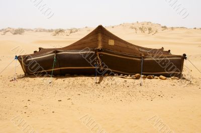 Desert Camp